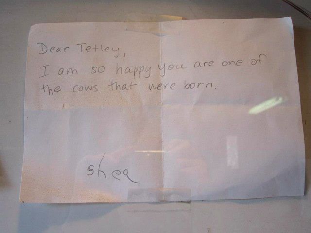 Dear Tetley,I am so happy you are one of the cows that were born.Shea